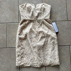 J. Crew Strapless Beige Lace Dress
